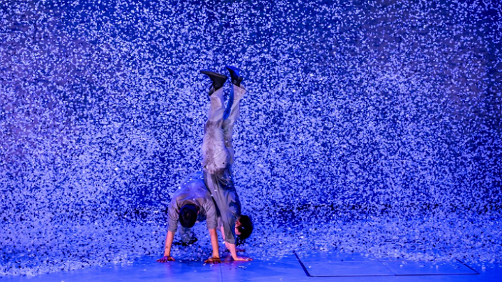 This Corld /  PJH Dance Company (14:44)